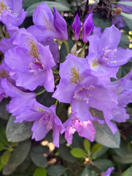 23-06-03 17-09-48 5817.jpeg